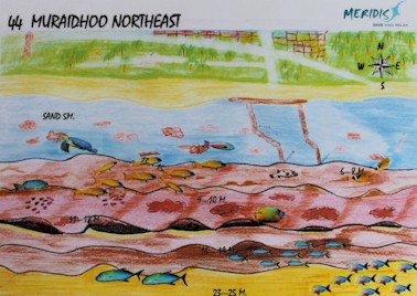 Muraidhoo Northeast